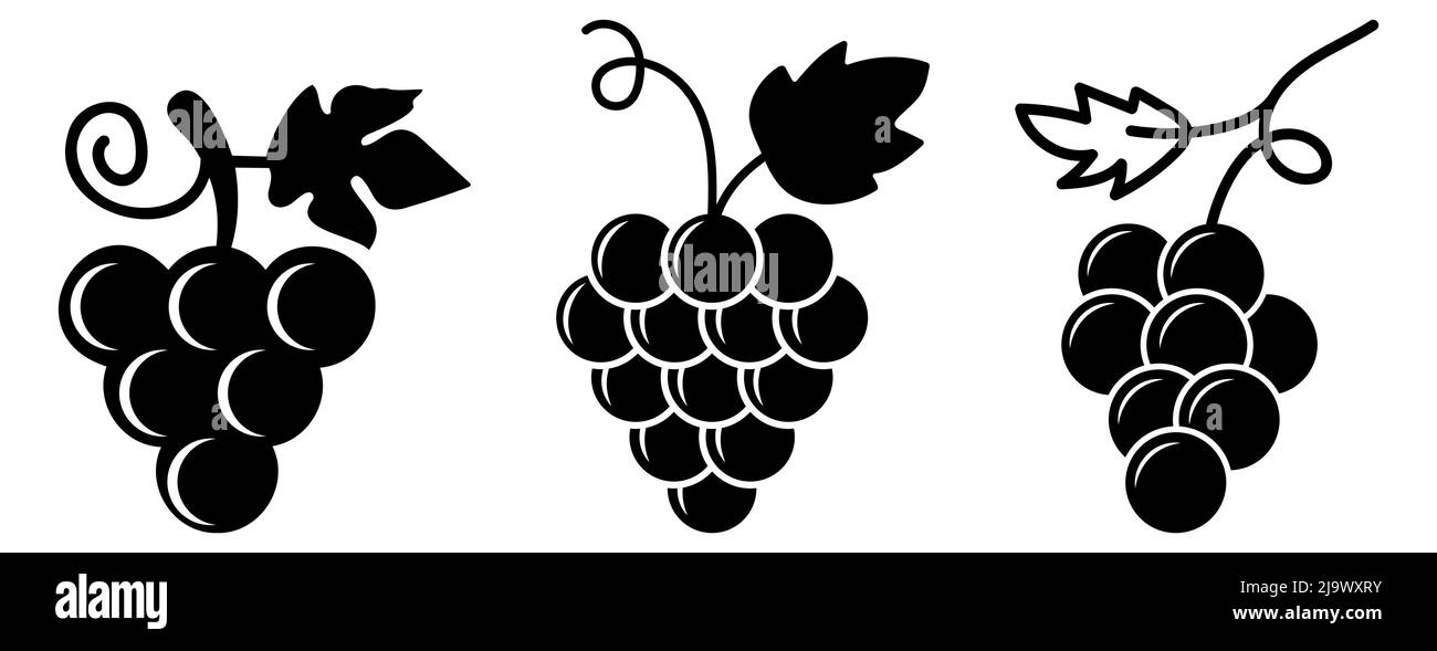 Le icone delle uve. Progettare applicazioni Web e mobili. Illustrazione vettoriale Illustrazione Vettoriale