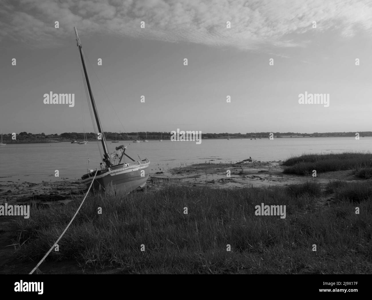 barca di saing ormeggiata sul fiume stour Foto Stock