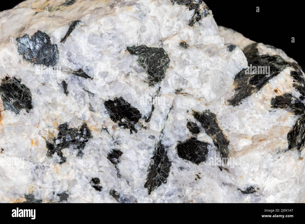 Granito di Pegmatite dall'Arizona centrale. Grandi cristalli neri di mica biotite contro il quarzo bianco. Fotografato su sfondo nero. Foto Stock