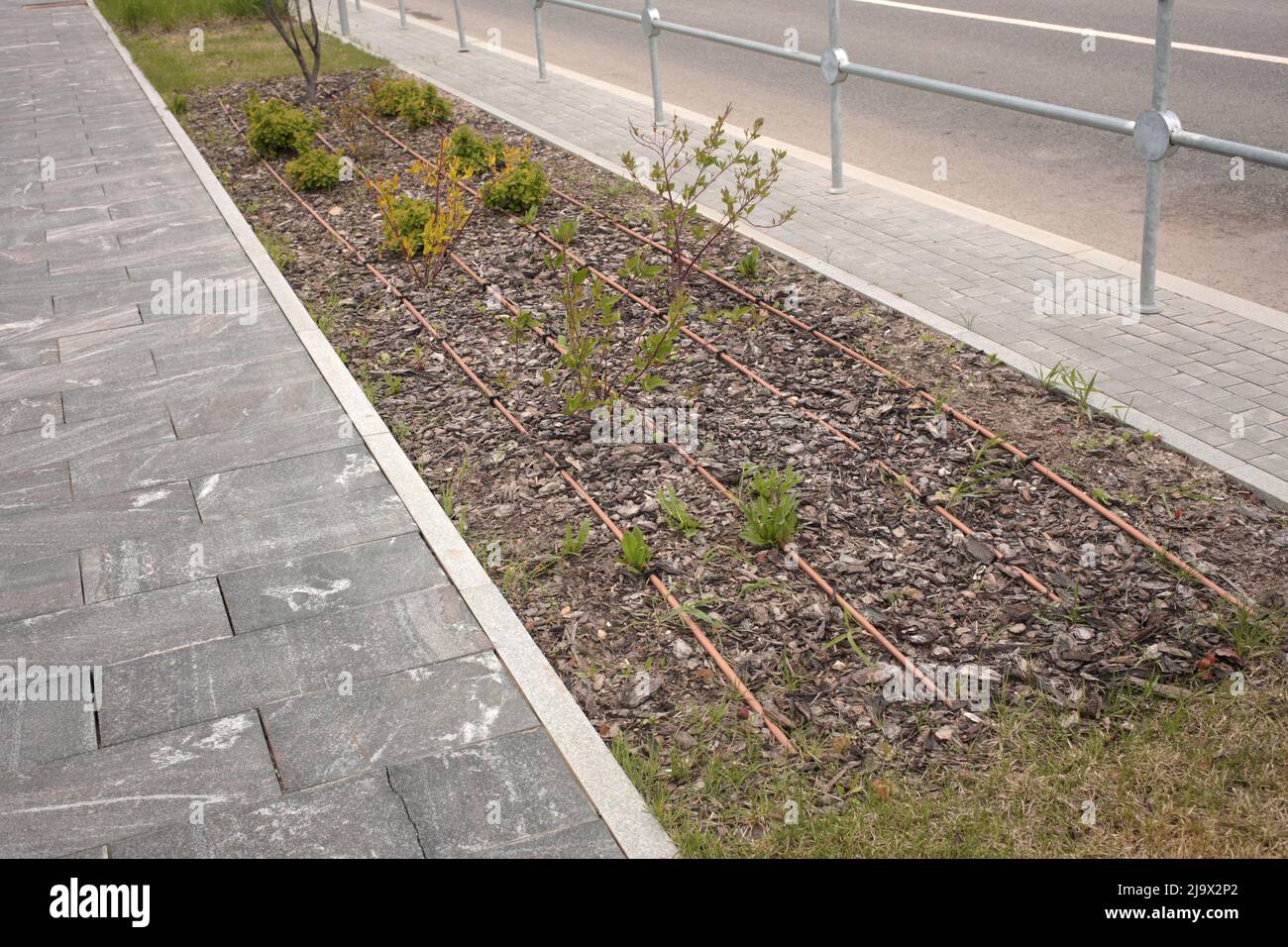 Impianto di irrigazione automatico nel parco Foto Stock