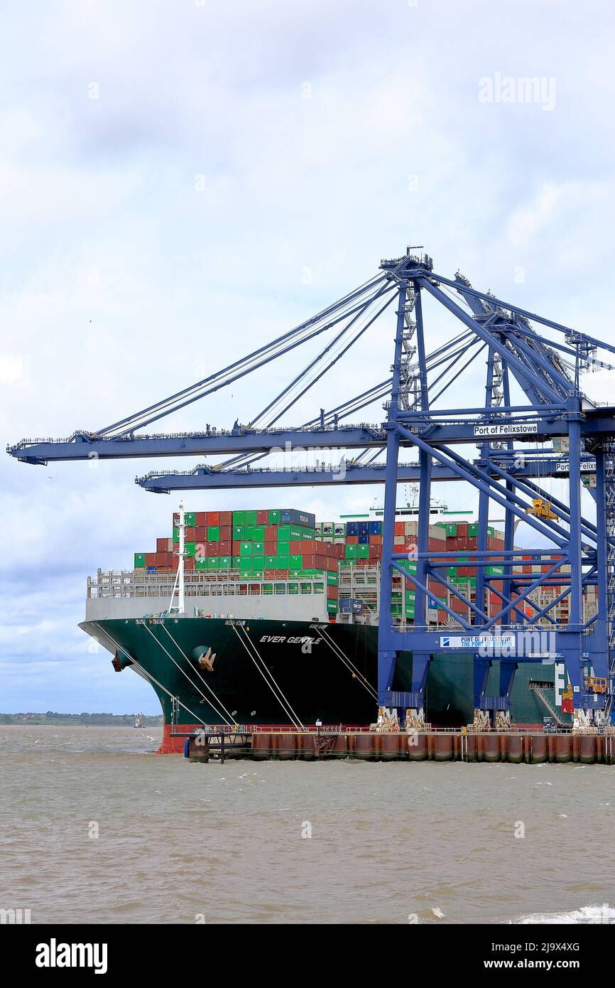 Nave del contenitore mai gentle attraccato al porto di Felixstowe, Suffolk, Regno Unito. Foto Stock