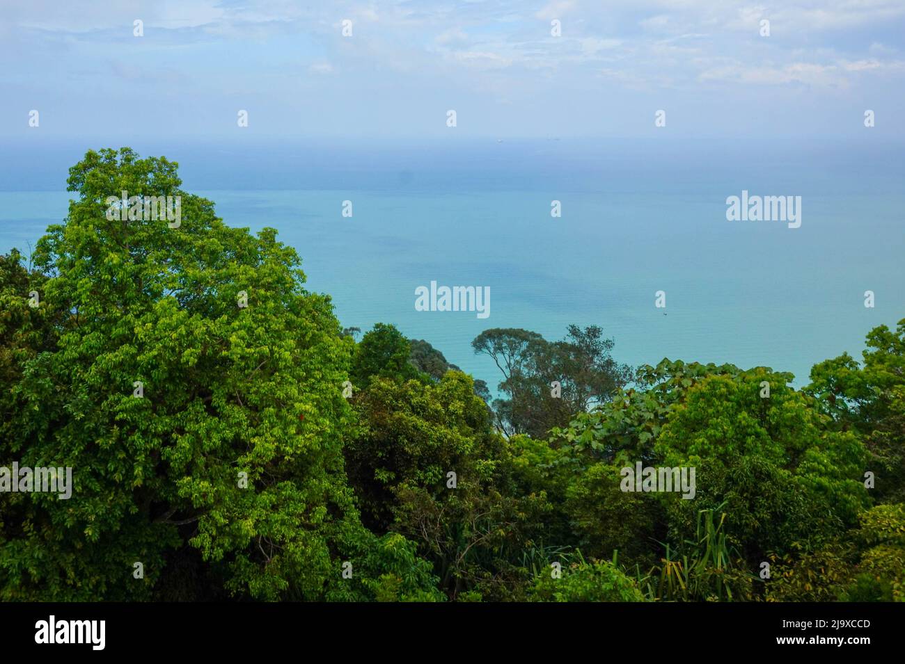 Vista dalla torre di osservazione del Parco Nazionale di Penang Foto Stock