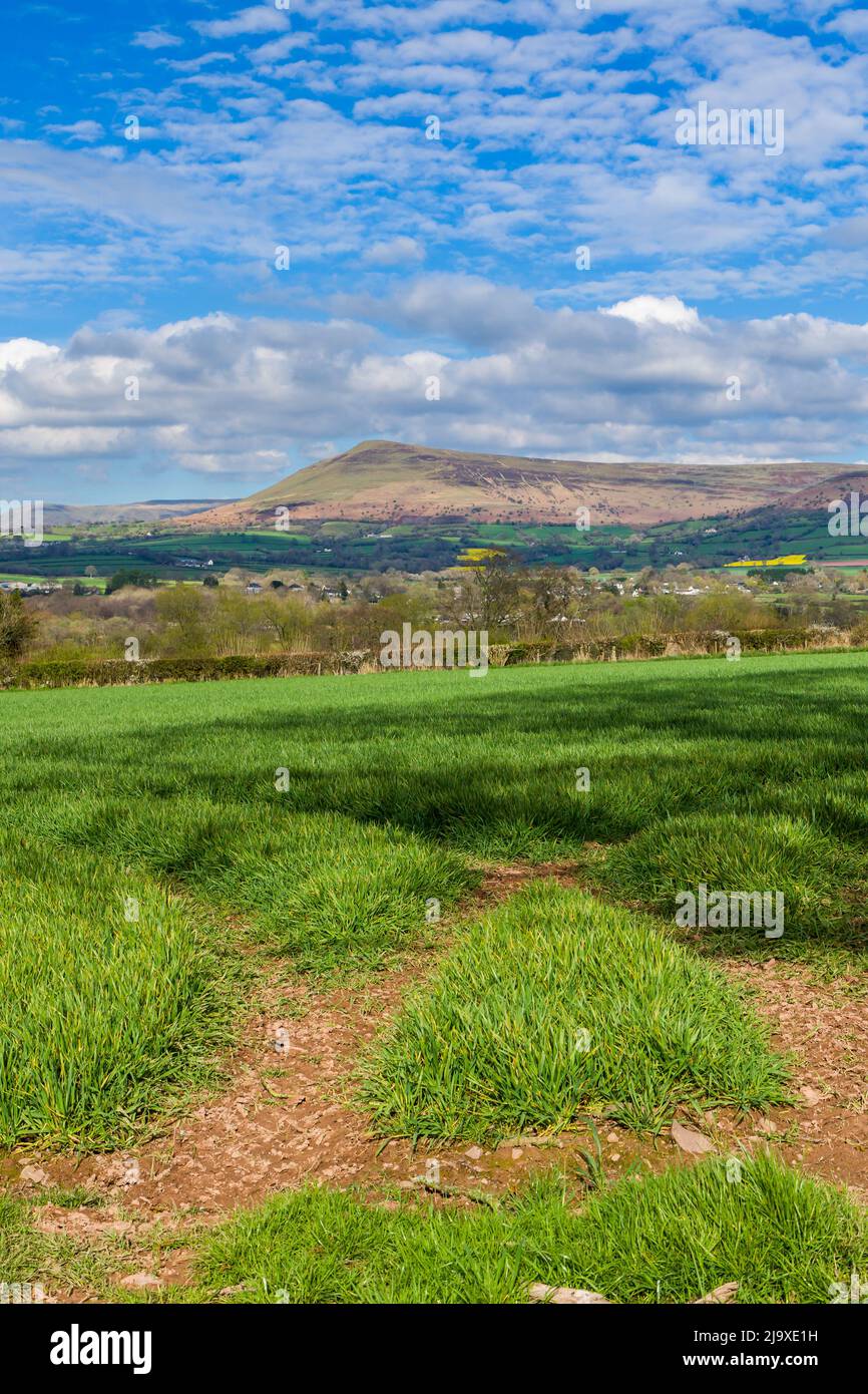 Paesaggio rurale di campagna vicino Llangorse nel Brecon Beacons, Galles, Regno Unito Foto Stock