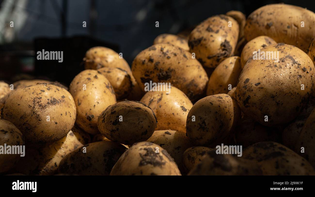 Patate nel mercato locale Foto Stock