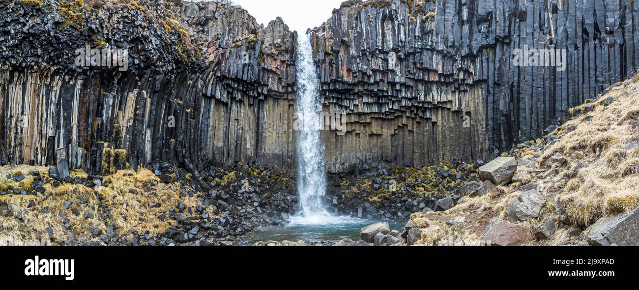 La cascata dello Svartifoss in Islanda Foto Stock