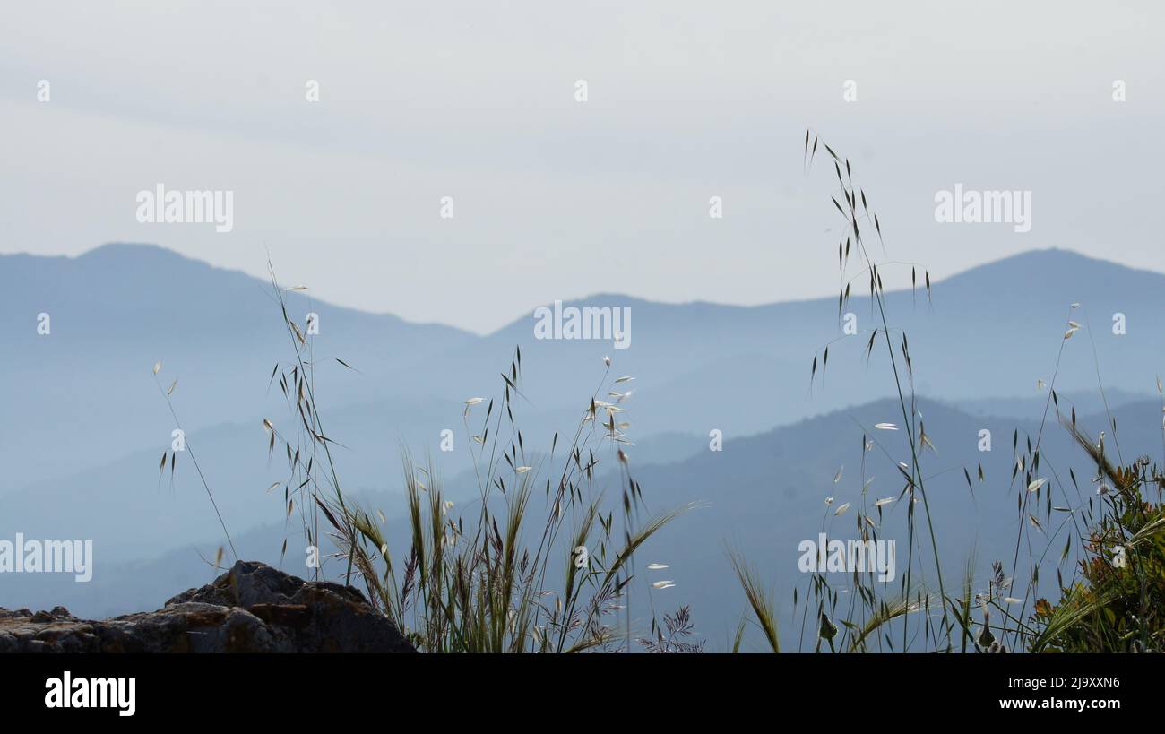 Vista sulle montagne sulla costa di Malaga, Spagna Foto Stock