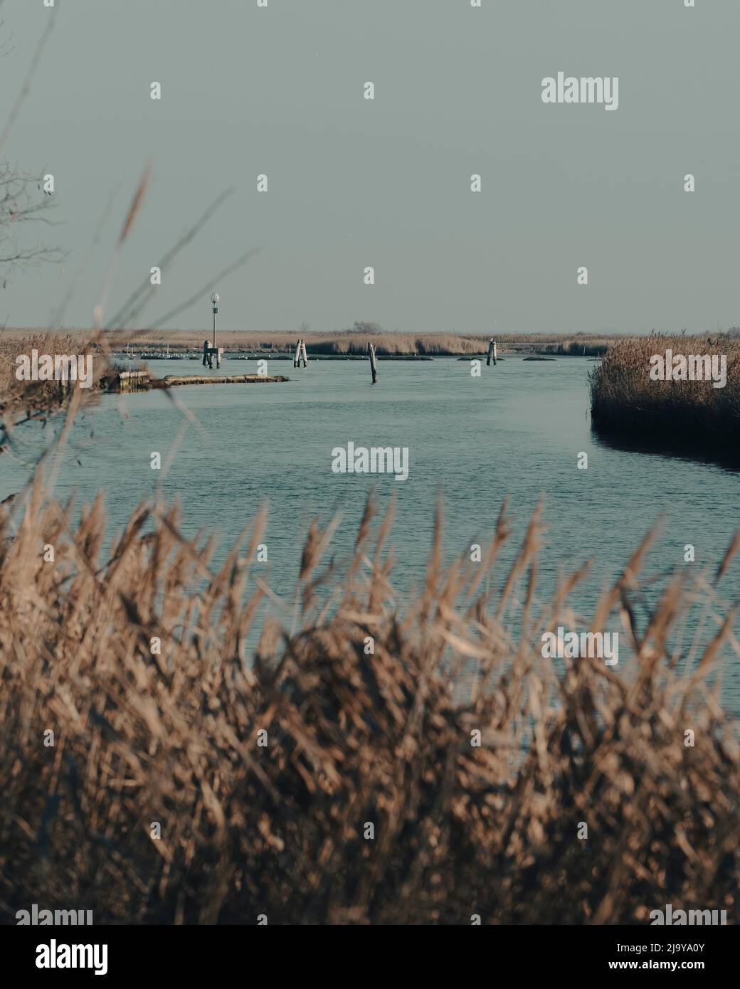 La laguna di Forte Bazzera vicino a Venezia Foto Stock