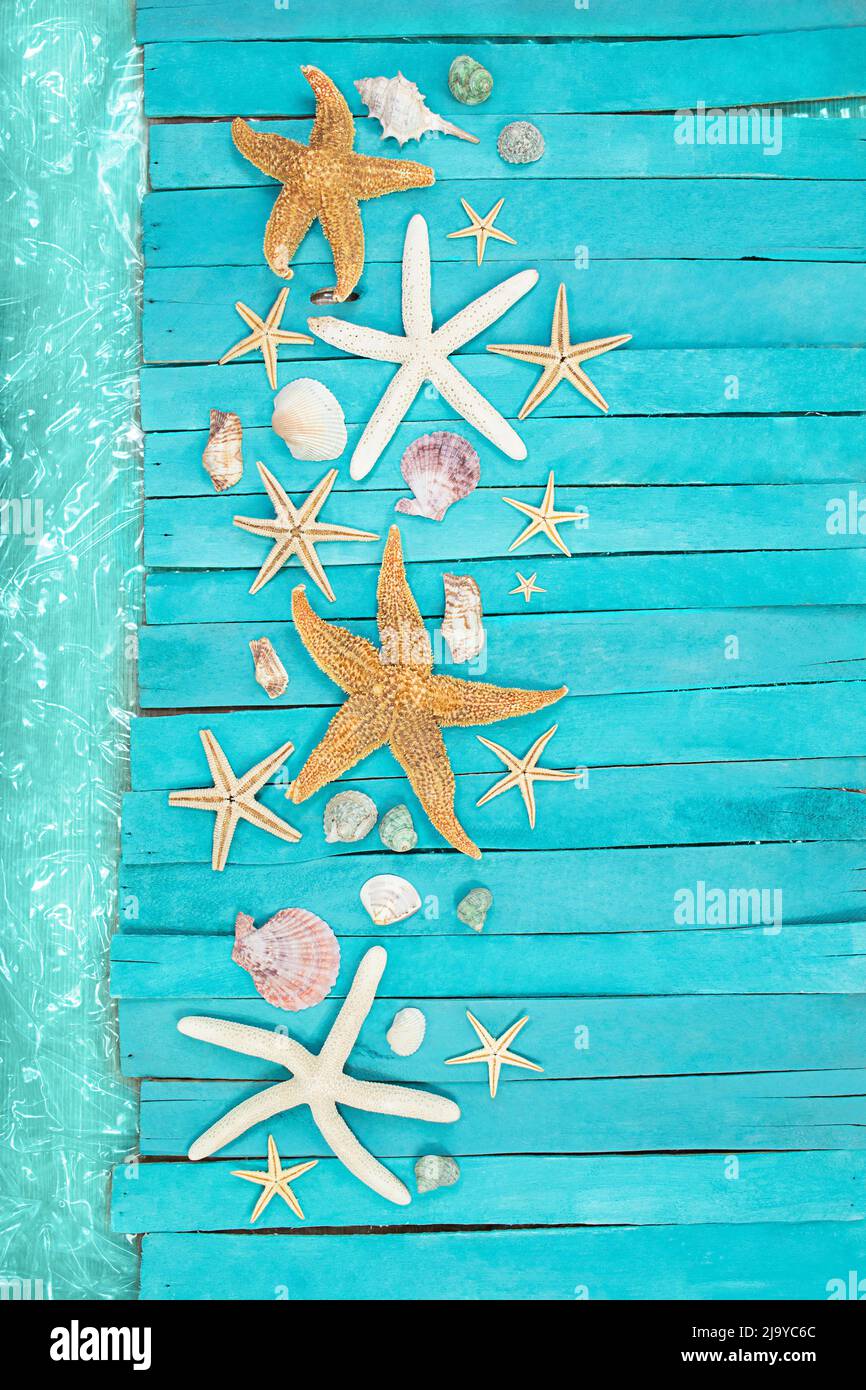 Terrazze in legno blu mare, tavole con stelle marine arancioni e bianche, conchiglie vicino alla piscina. Concetto di vacanza, turismo, estate. Spazio di copia Foto Stock