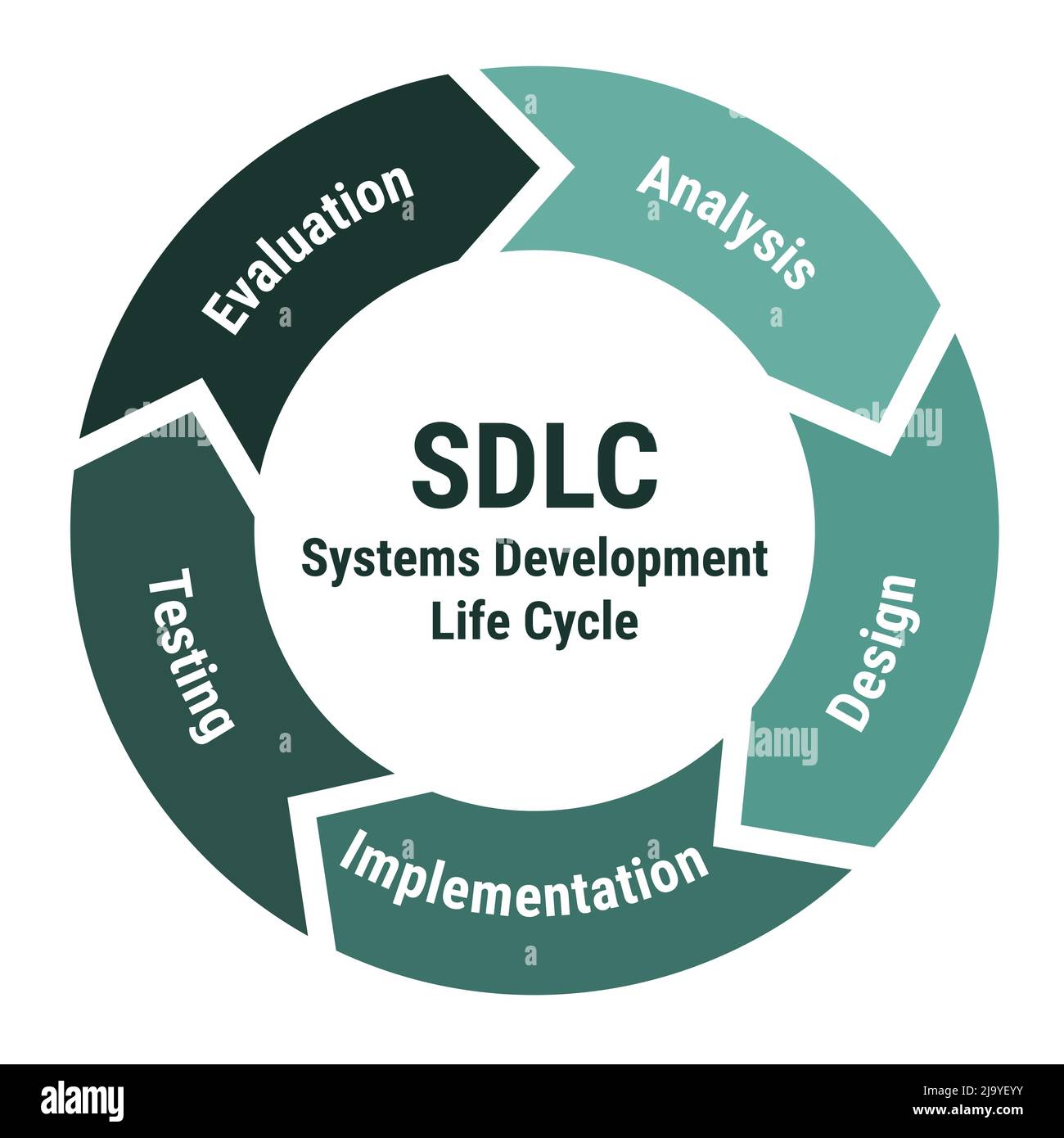 Schema del ciclo di vita dello sviluppo dei sistemi SDLC. Diagramma circolare della metodologia con analisi, progettazione e implementazione, test e valutazione. Verde su whit Illustrazione Vettoriale