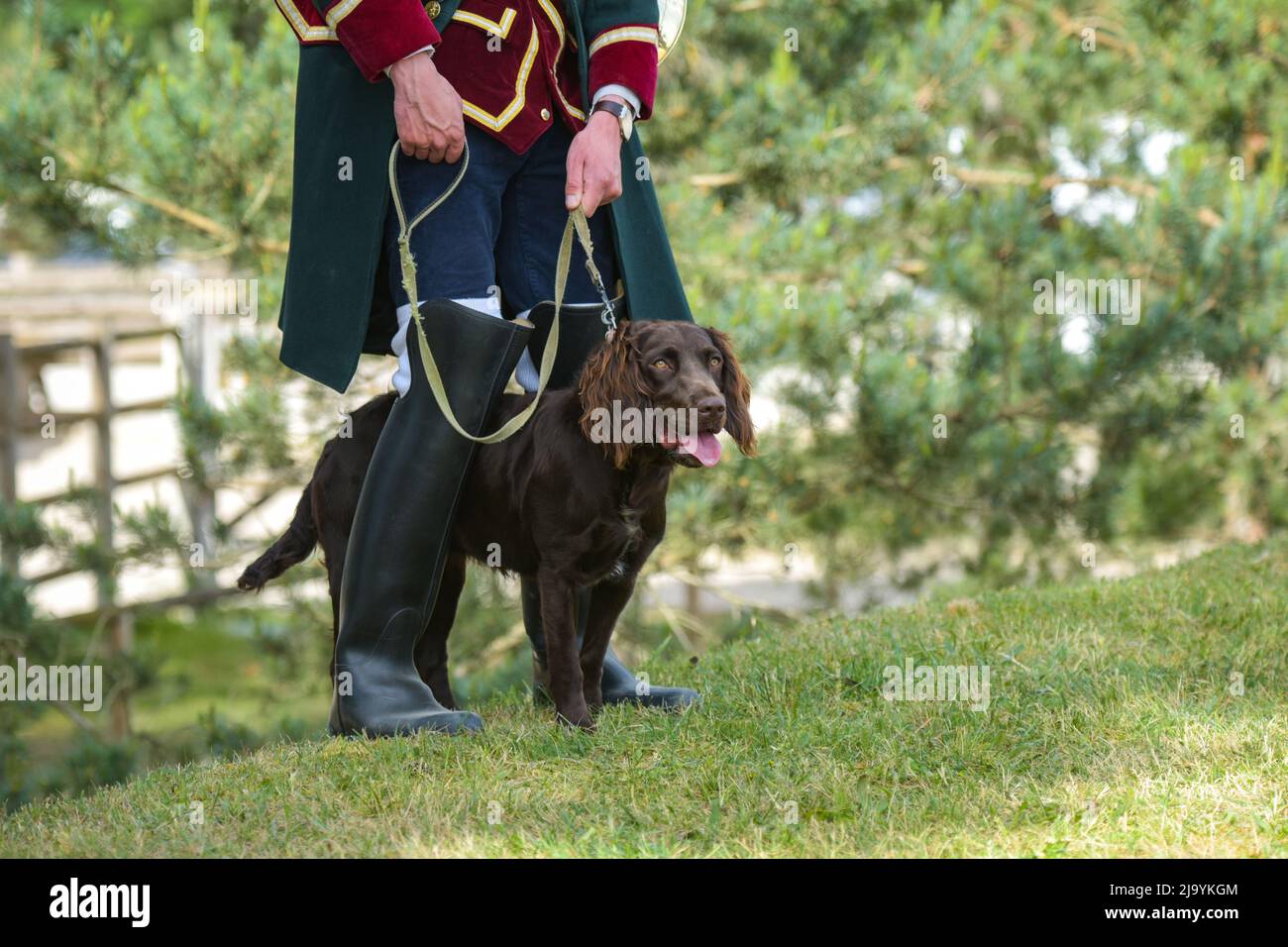 Vista di un cane da caccia e del suo padrone durante una caccia in Francia Foto Stock