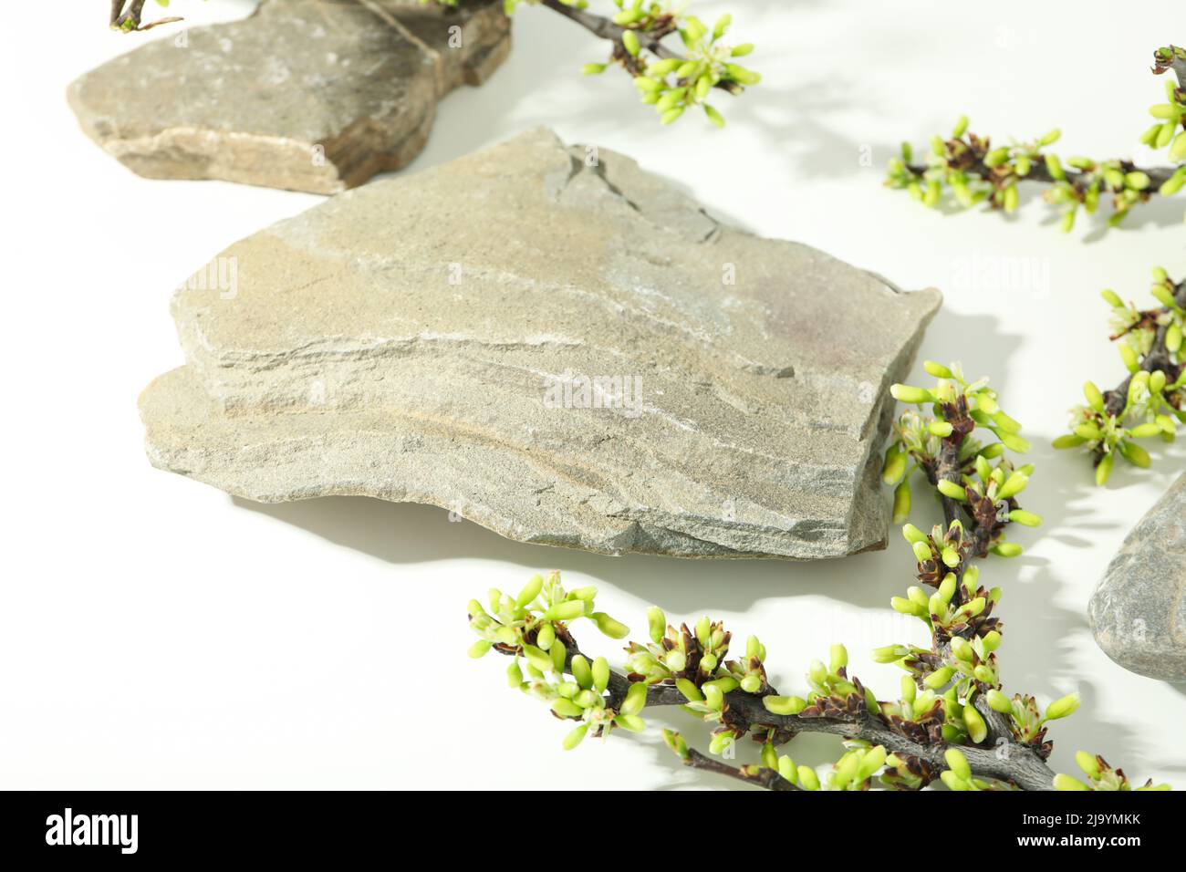 Composizione con podio per il vostro design e la pubblicità Foto Stock