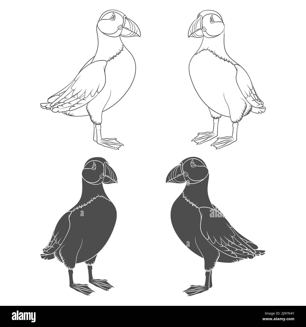Set di illustrazioni in bianco e nero con uccello in puffin. Oggetti vettoriali isolati su sfondo bianco. Illustrazione Vettoriale