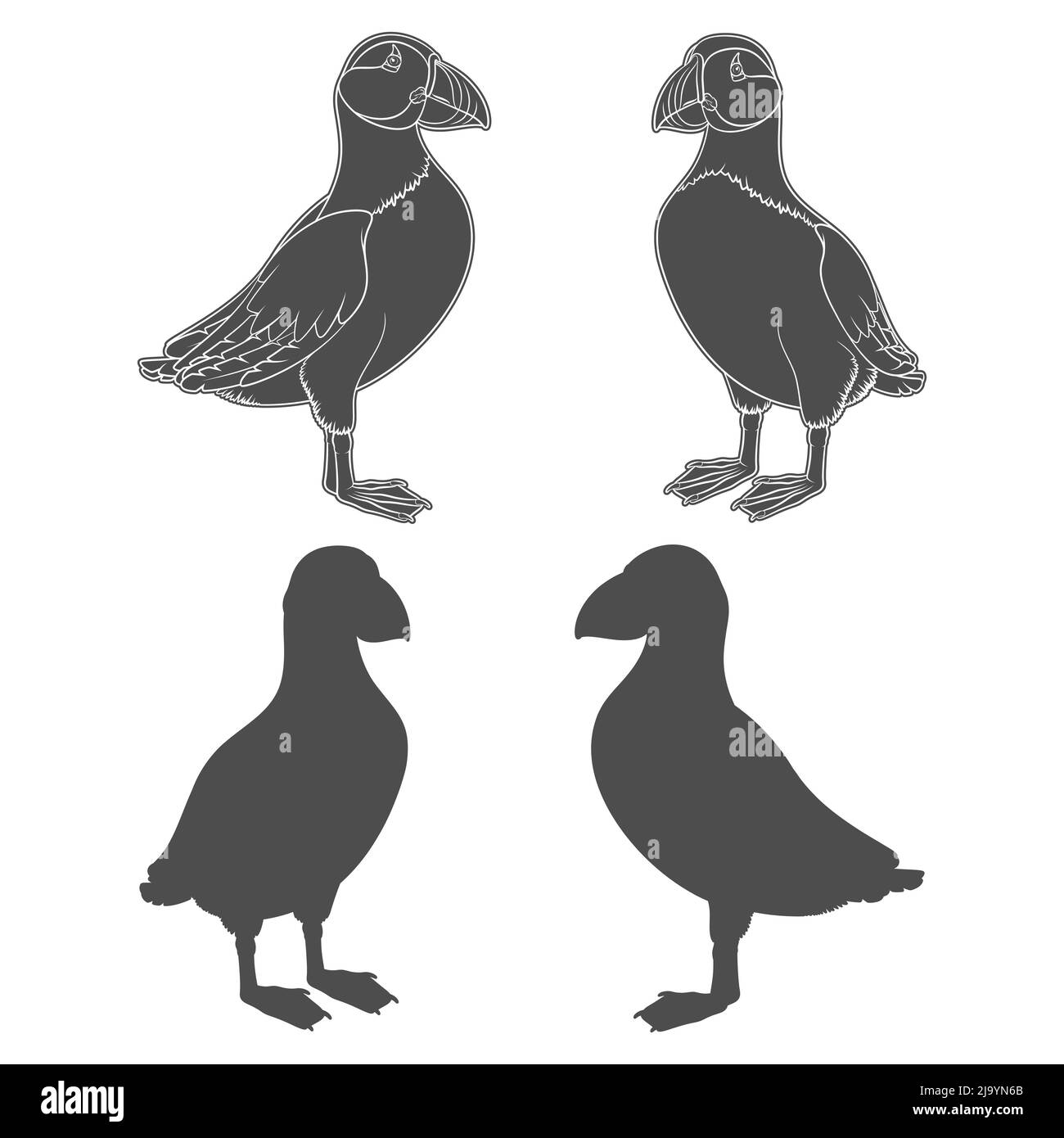 Set di illustrazioni in bianco e nero con uccello in puffin. Oggetti vettoriali isolati su sfondo bianco. Illustrazione Vettoriale