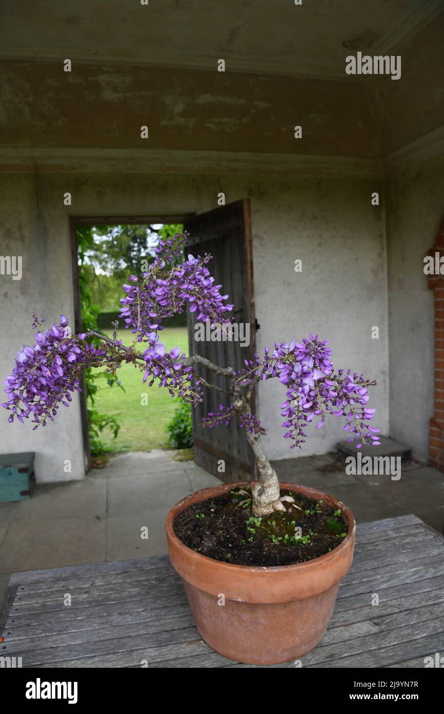 Summerhouse in stile romano Foto Stock
