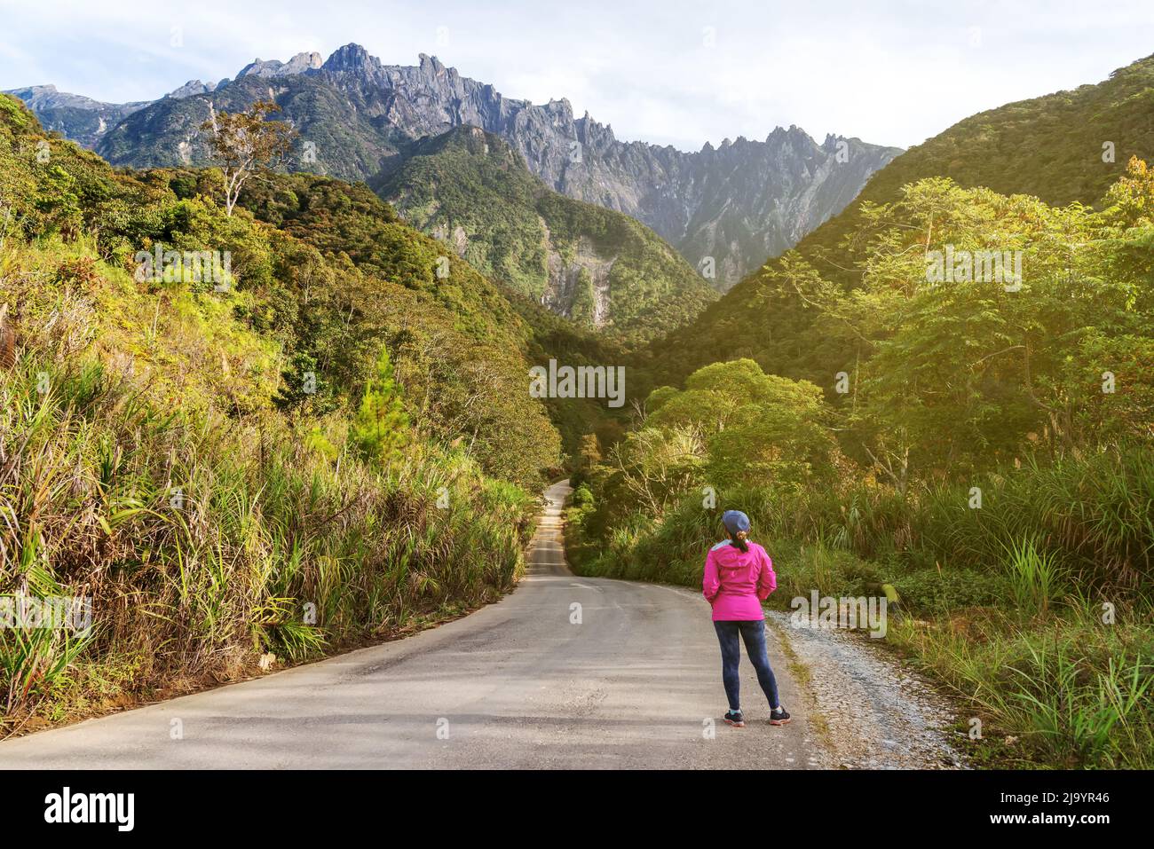 Donna in giacca rosa che guarda la vista del monte Kinabalu in Kundasang Sabah Borneo Malesia Foto Stock