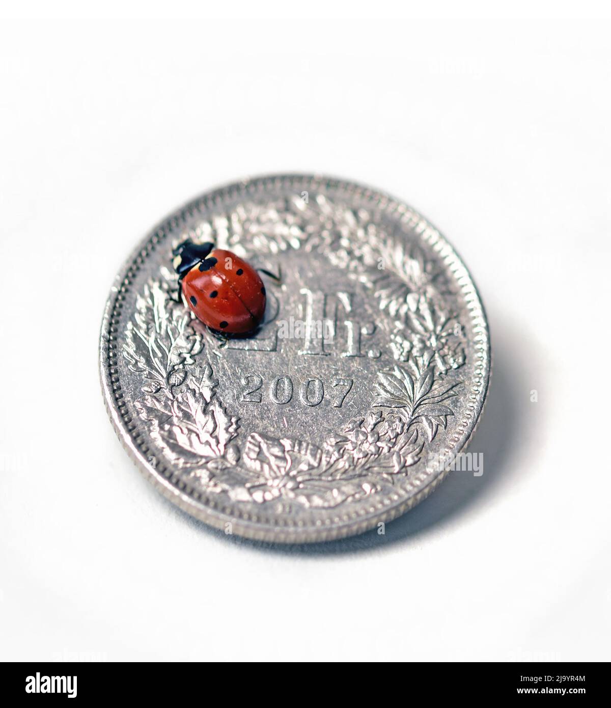 ladybird scarabei con monete svizzere da due franchi in primo piano Foto Stock