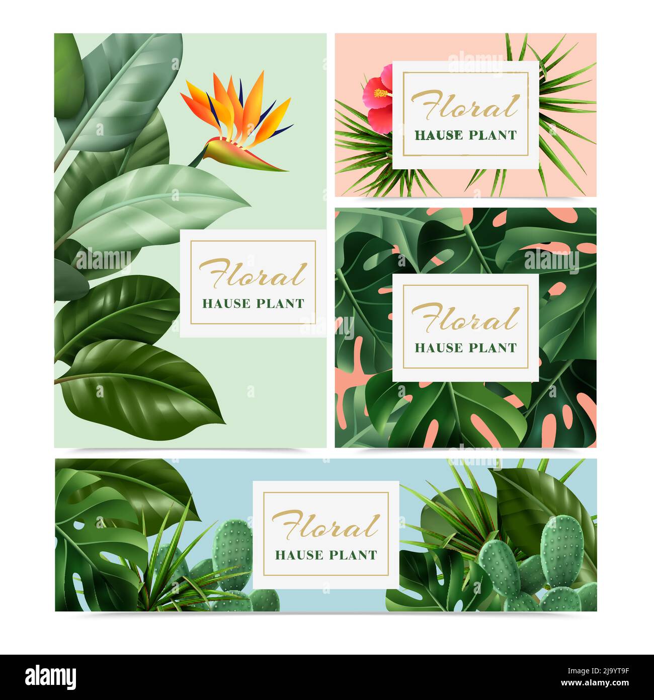 Piante esotiche tropicali 4 banner pubblicitari realistici insieme con uccello paradiso fiore hibiscus cactus monstera illustrazione vettoriale Illustrazione Vettoriale