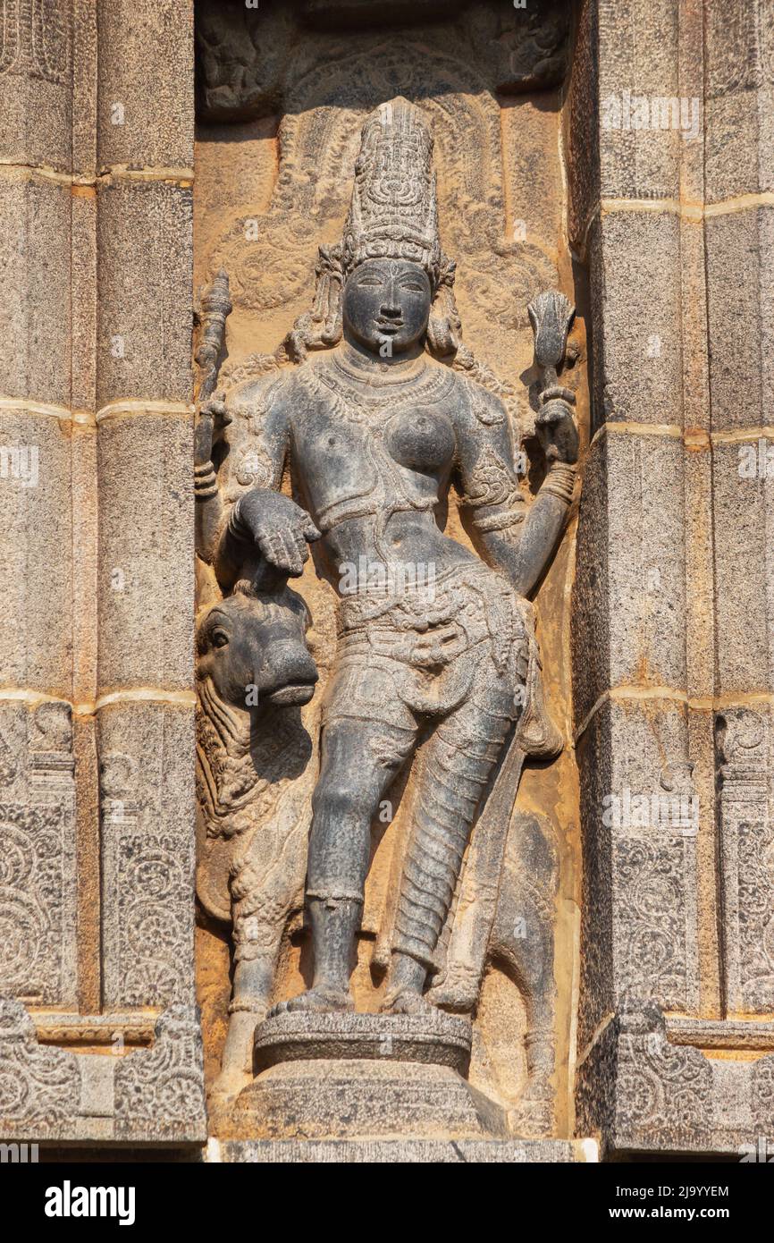 Idolo scolpito di Signore Shiva come mezzo uomo e mezza donna Ardhanarishwara su Gopuram del tempio di Nataraja, Chidambaram, Tamil Nadu, India Foto Stock