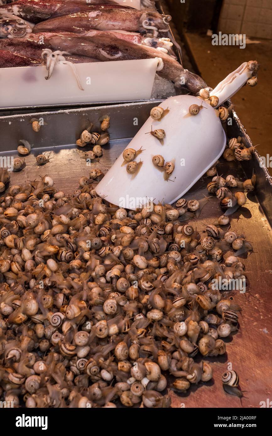 Vendita lumache fresche, mercato del Pesce di Rialto, venezia, Italia Foto Stock