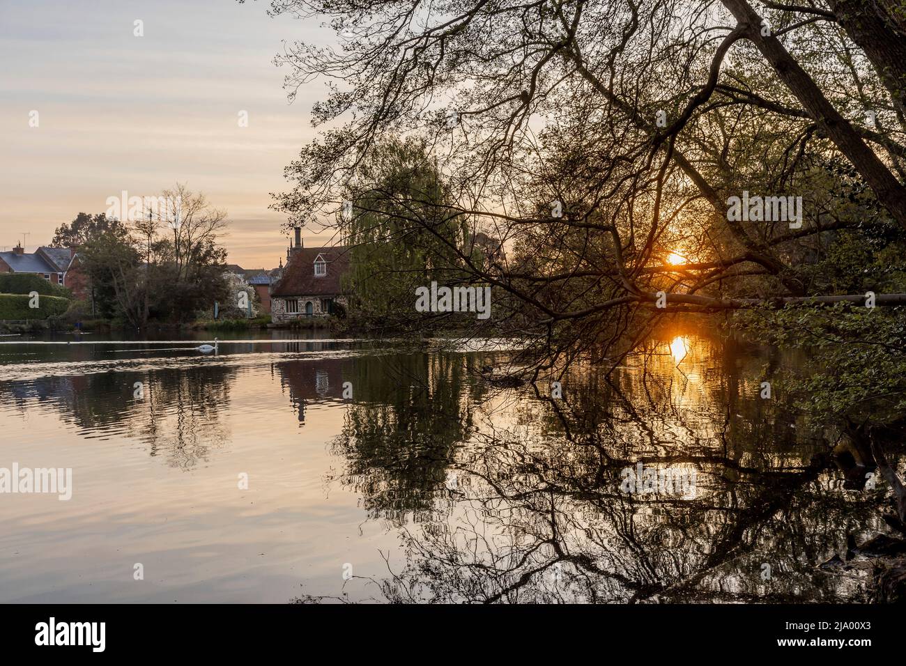 Colchester< Essex, Inghilterra, Regno Unito, Fotografia locale Foto Stock