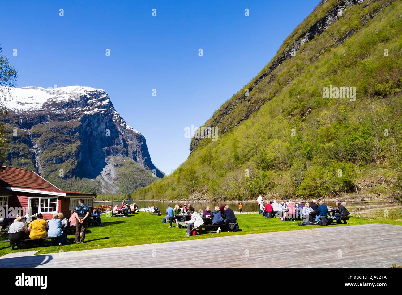 I turisti mangiano ai tavoli da picnic, Kjenndalstova ristorante caffetteria alla testa del lago Lovatnet, Norvegia Foto Stock