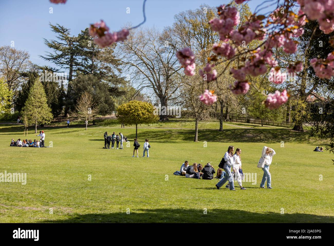 Colchester< Essex, Inghilterra, Regno Unito, Fotografia locale Foto Stock