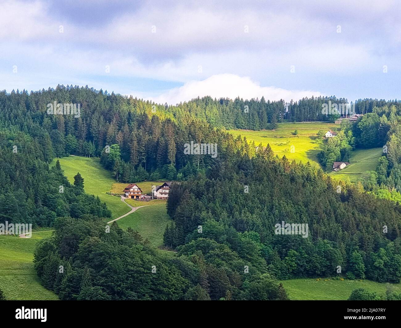 Vista panoramica sulle colline ondulate della Foresta Nera. Le migliori destinazioni escursionistiche nella Foresta Nera. Dollenberg vicino a Bad Peterstal-Griesbach. Foto Stock