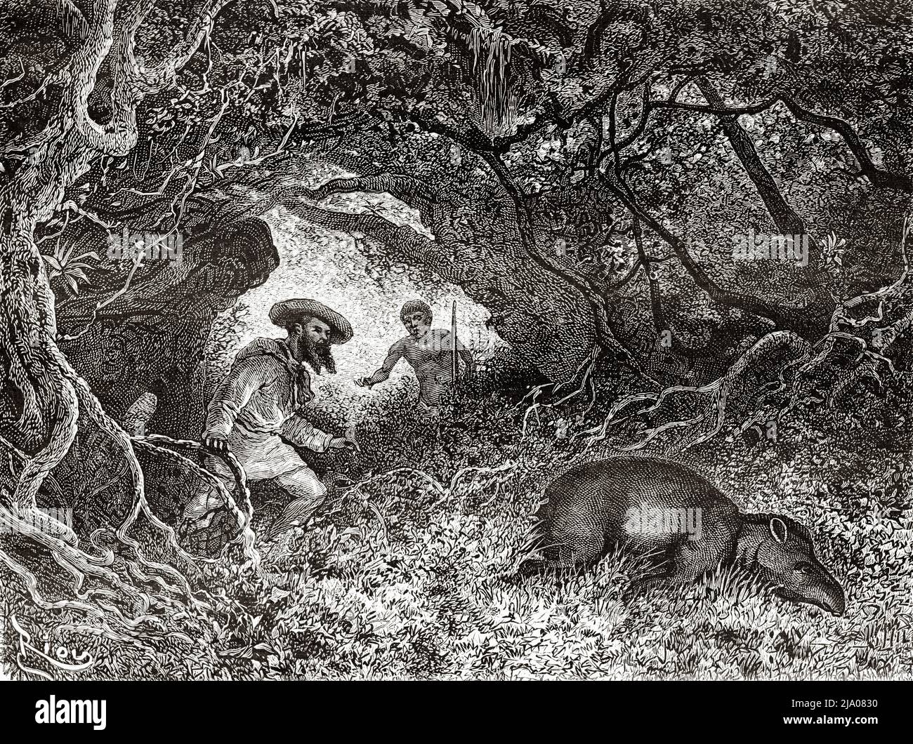 Tapir caccia nella giungla, Guyana francese, Dipartimento di Francia, Sud America. Viaggio di esplorazione all'interno delle Guianas 1877 di Jules Crevaux. Le Tour du Monde 1879 Foto Stock