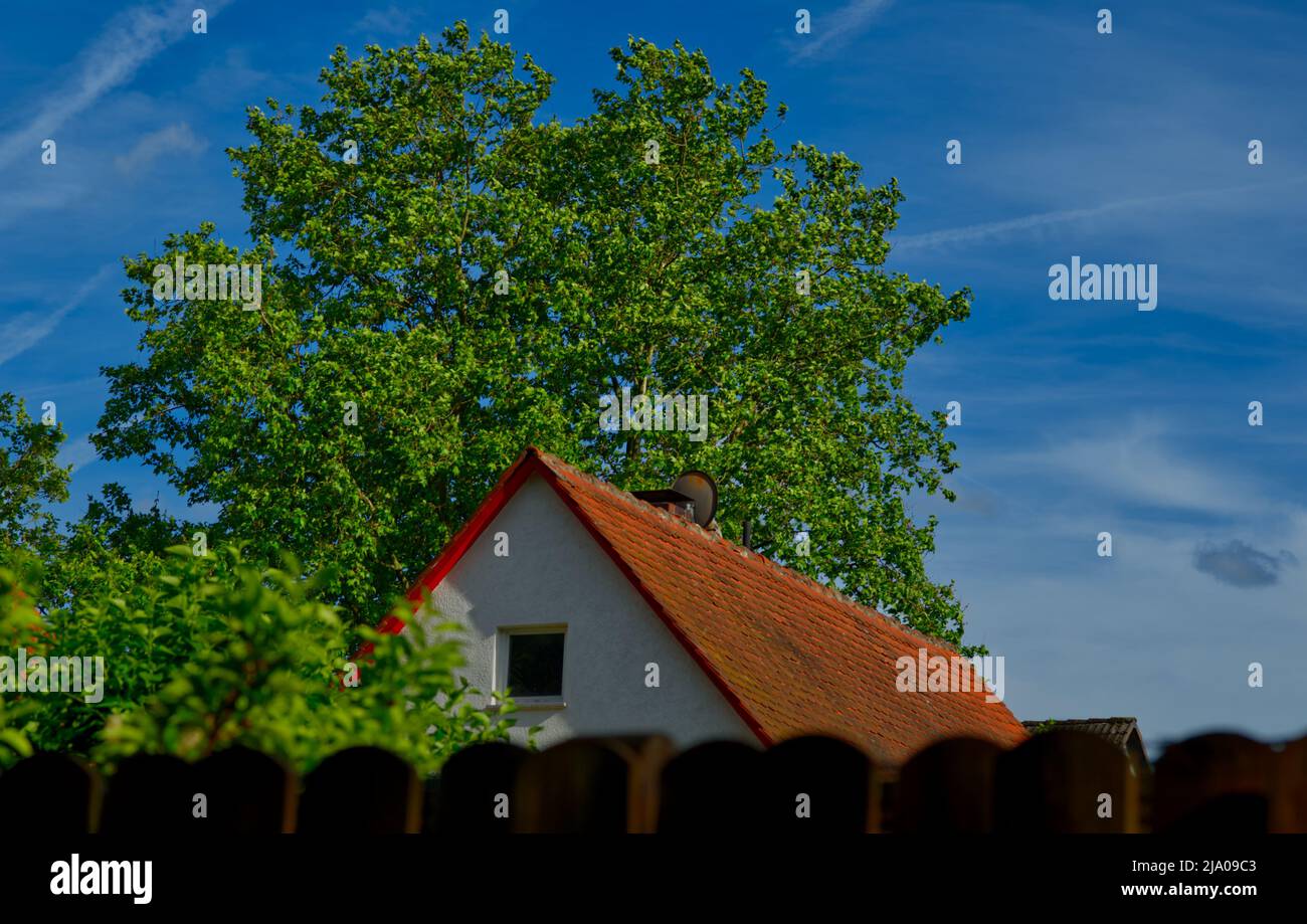 la casa con tetto rosso del vicino visto oltre una recinzione marrone e un albero verde nel cielo blu Foto Stock