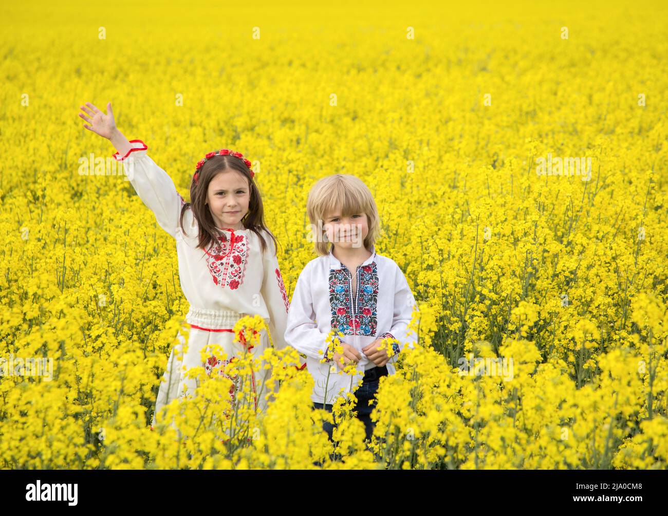 Ragazzo e ragazza di 6-7 anni in abiti nazionali ucraini sono in piedi tra campo di colza giallo fiorente. Educazione del patriottismo. Indipendenza D Foto Stock