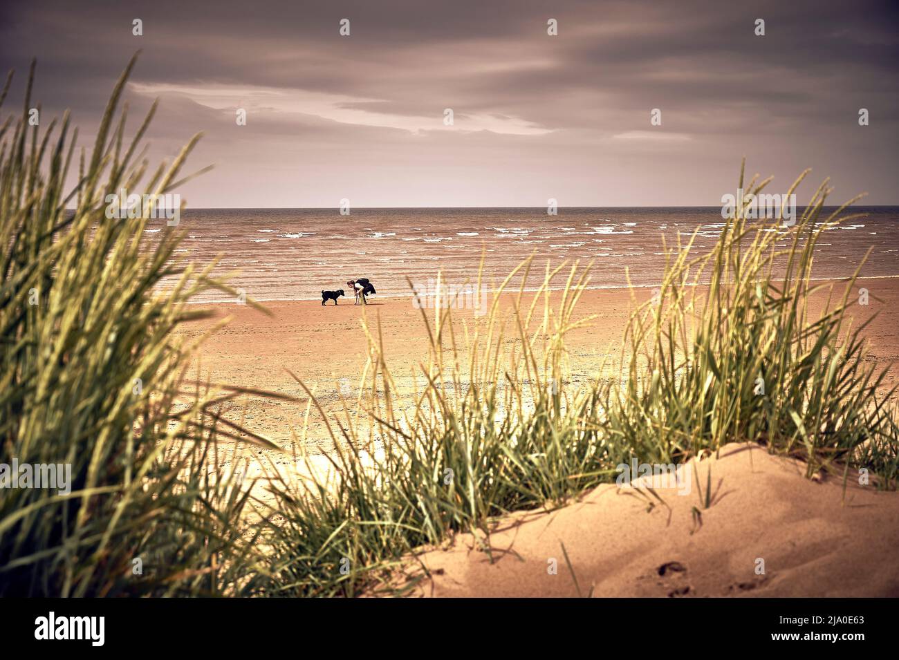Donne e cani che giocano sulla spiaggia mentre l'alta marea si avvicina Foto Stock