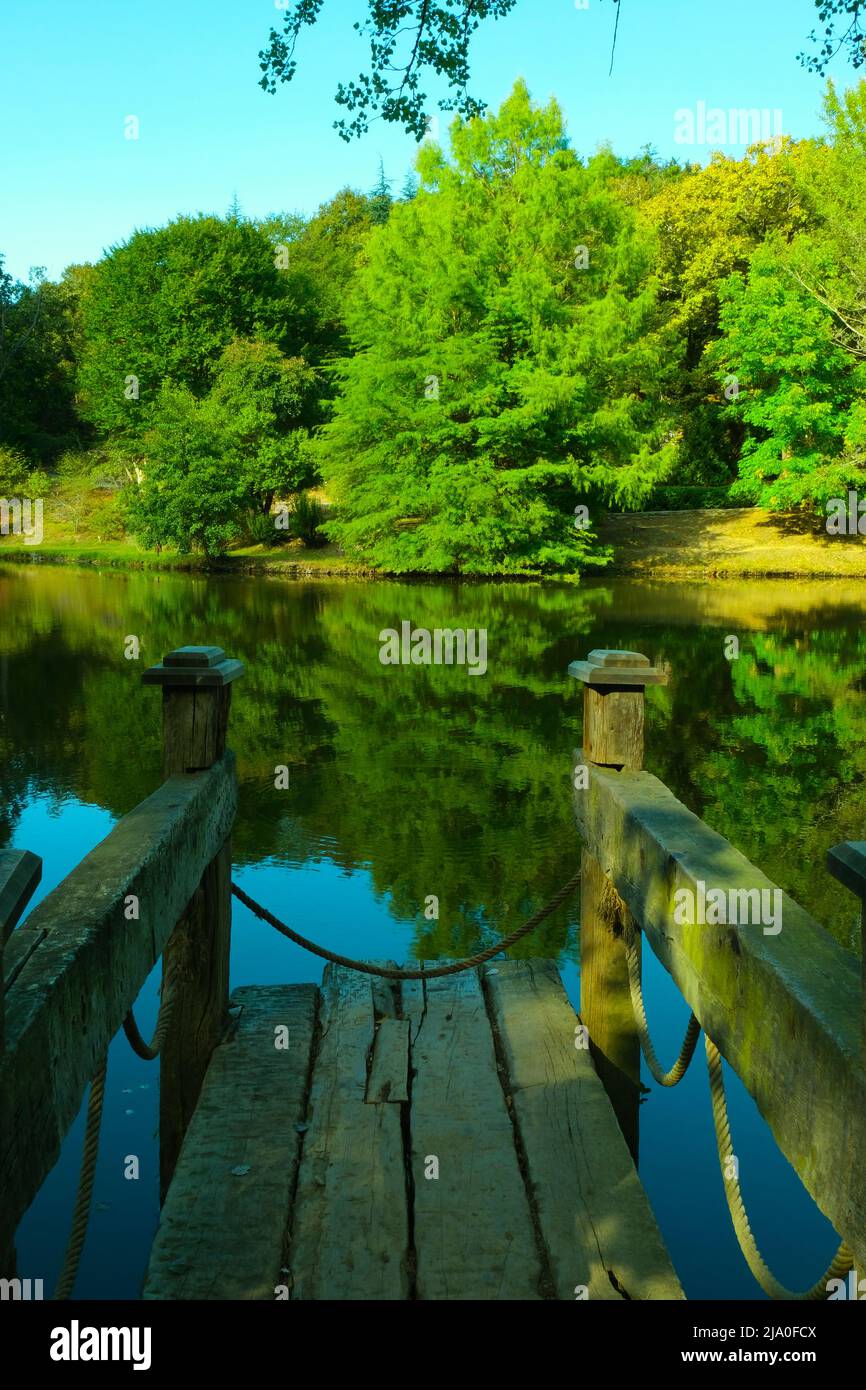 Luogo tranquillo e tranquillo che si apre alla freschezza e alla quiete vicino al lago Foto Stock