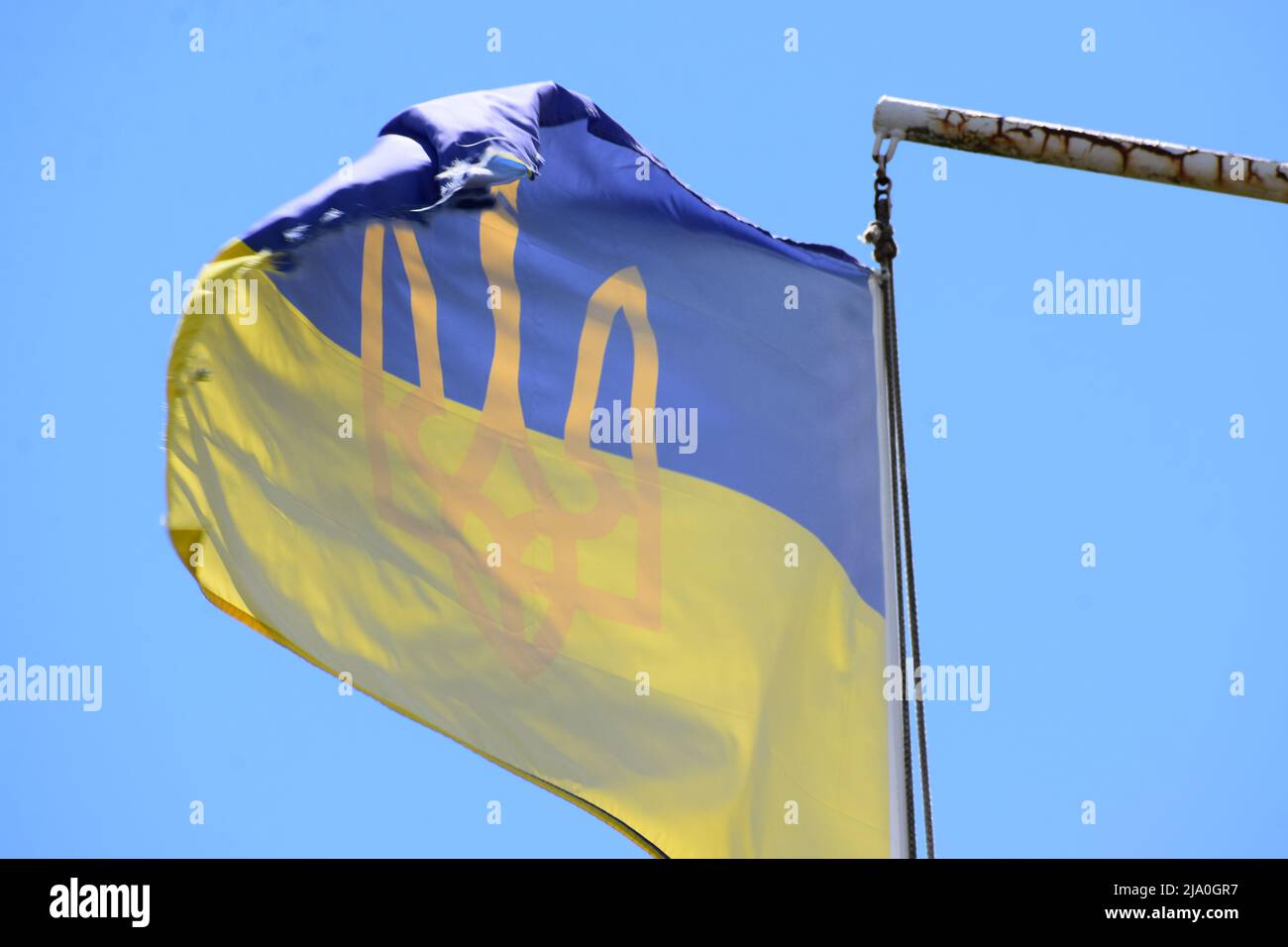 Bandiera dell'Ucraina Foto Stock