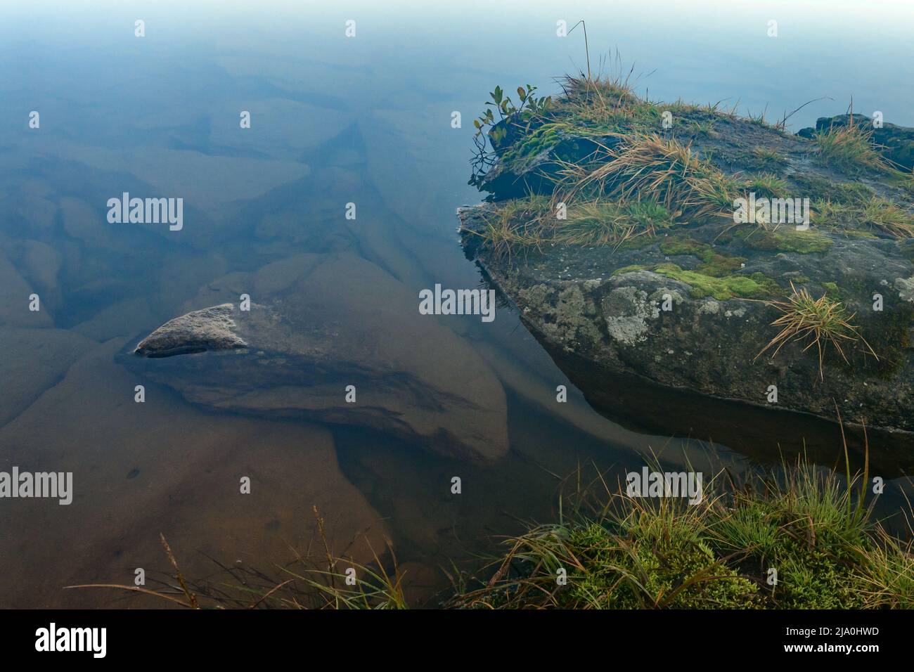 Le pietre sotto l'acqua sono coperte da piccole alghe verdi, acqua in piedi nel lago. Foto Stock