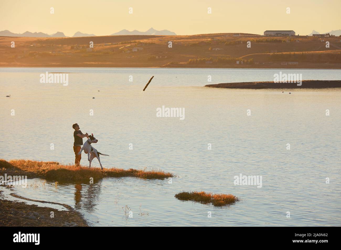 Un ragazzo gioca con il suo cane sul lago Argentino al tramonto, El Calafate, Patagonia, Argentina. Foto Stock