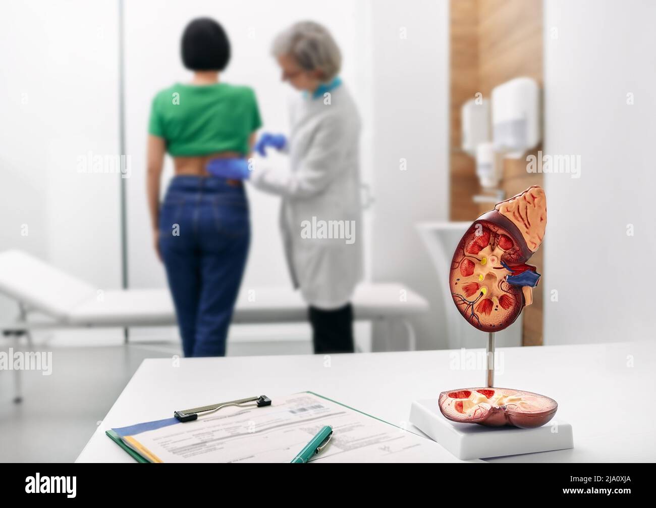 Trattamento delle malattie renali all'urologia. Palpazione urologo schiena della donna con dolore ai reni durante la consultazione in clinica medica Foto Stock