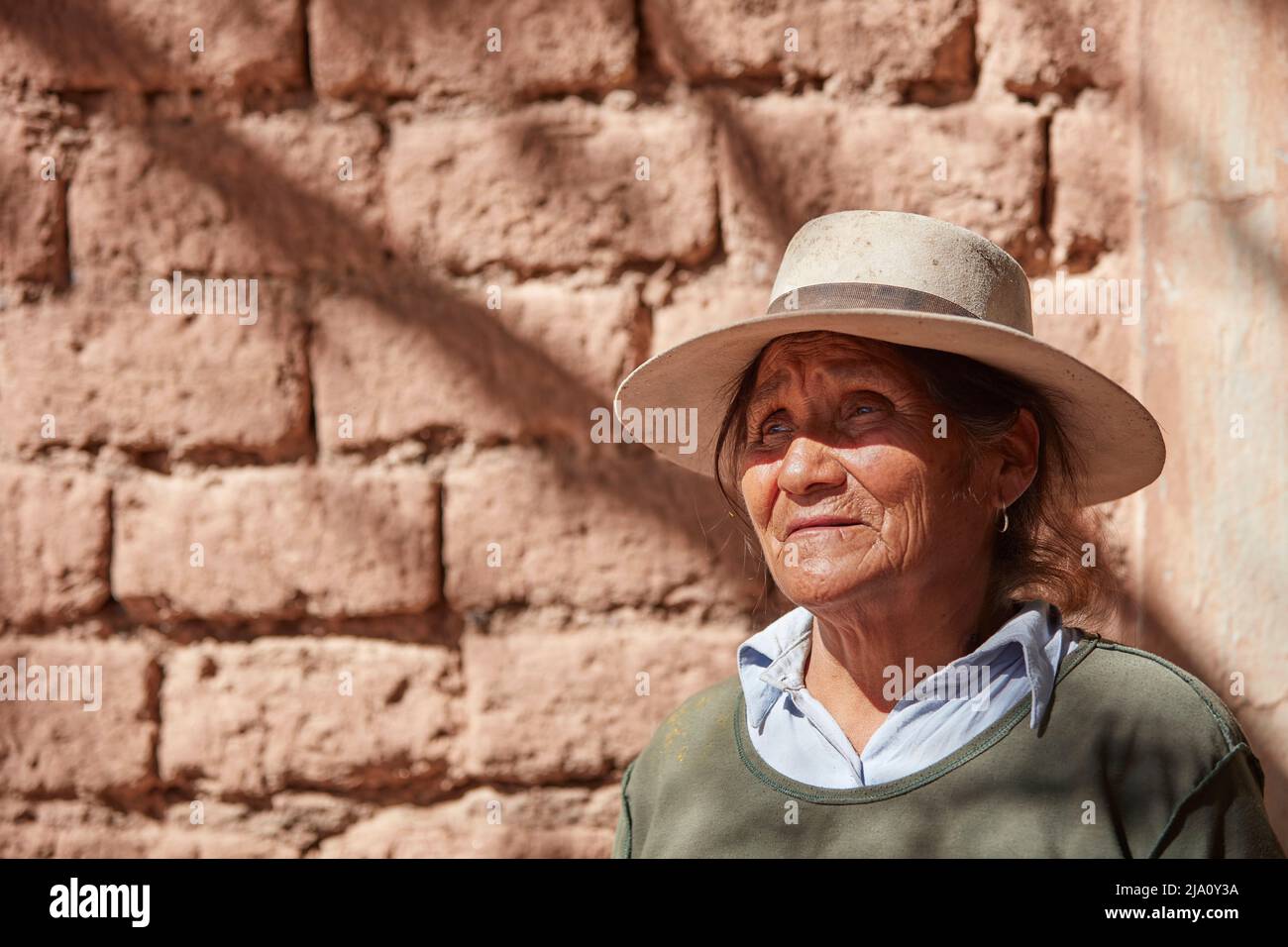 Ritratto di una donna anziana dell'Argentina settentrionale, vicino a Humahuaca, provincia di Jujuy. Foto Stock