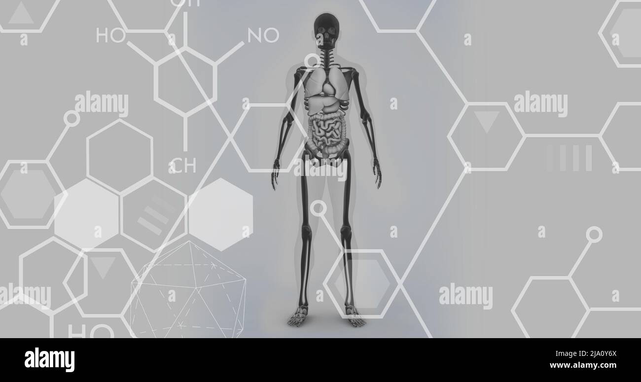 Immagine di formule chimiche sul modello del corpo umano Foto Stock
