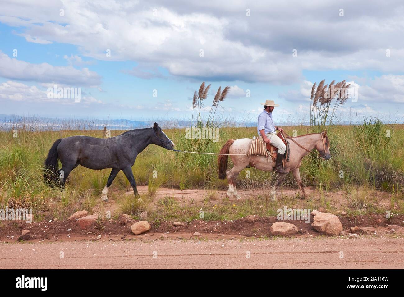Gaucho a cavallo sulla strada per la 'Altas Cumbres', Cordoba, Argentina. Foto Stock