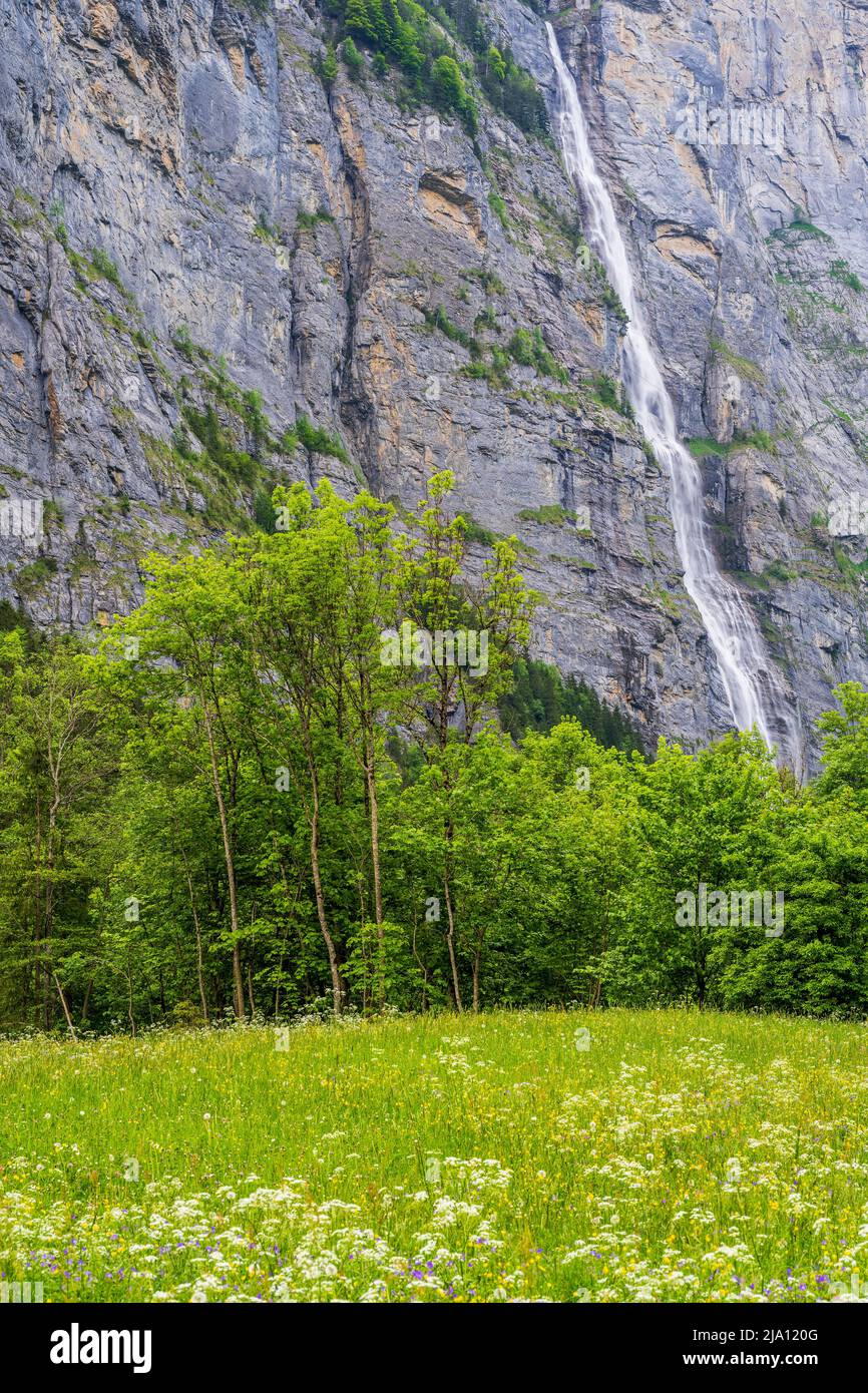 Cascata di Murgenbach, Lauterbrunnen, Canton Berna, Svizzera Foto Stock