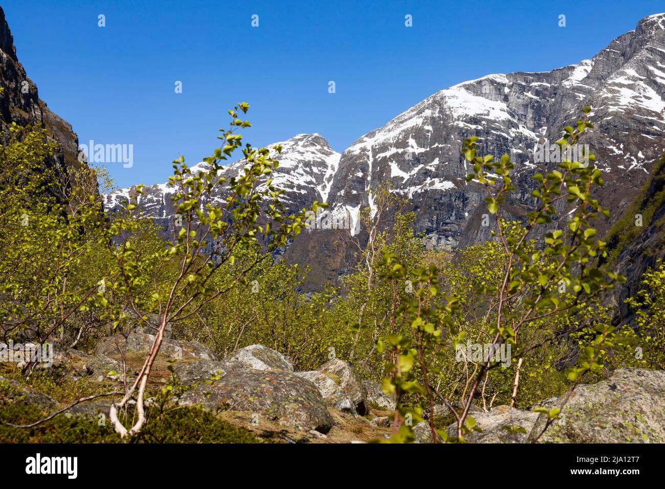 Montagne innevate sopra la valle di Lovatnet. Norvegia Foto Stock