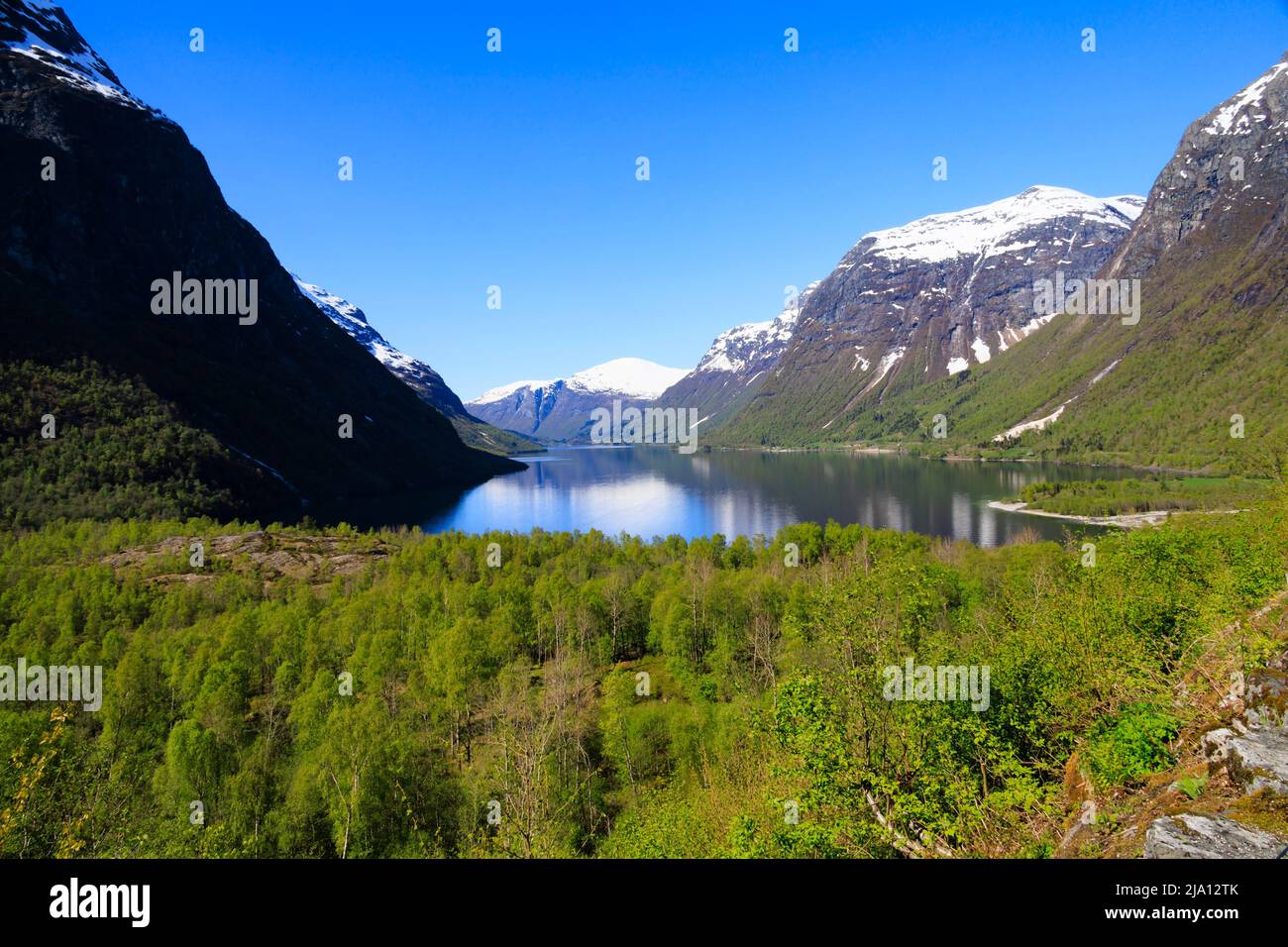 Scenario valle del lago Lovatnet. Norvegia Foto Stock