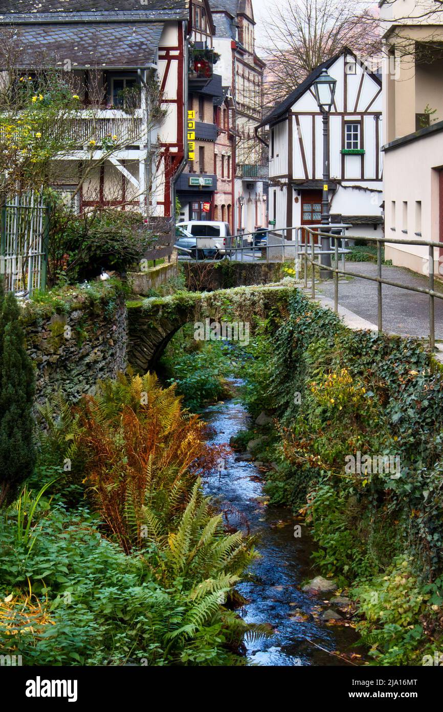 Piante verdi intorno al torrente a Bacharach, in Germania, accanto ad una strada con edifici sullo sfondo. Foto Stock