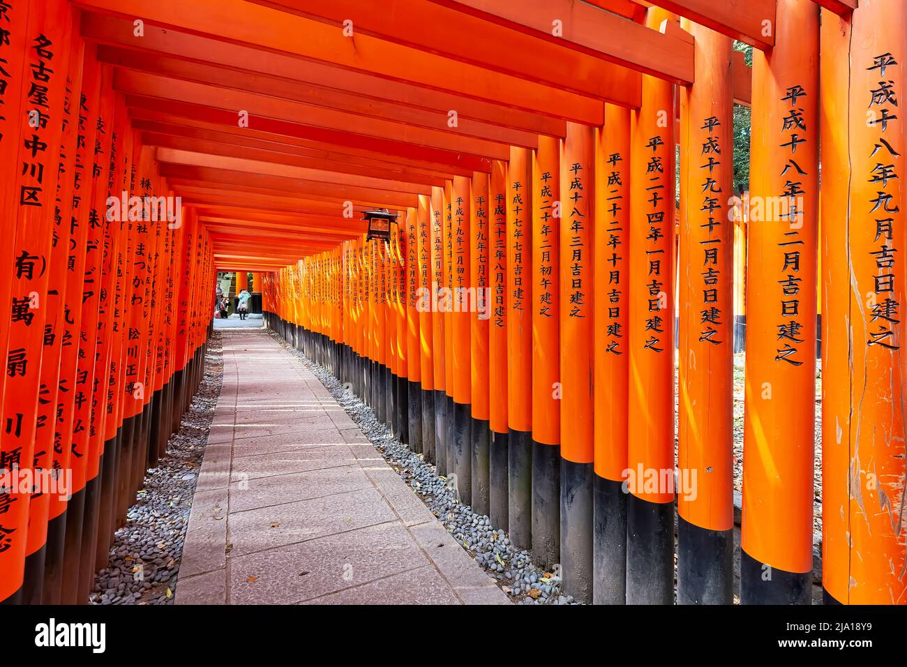 Giappone. Kyoto. Santuario di Fushimi Inari Taisha Foto Stock
