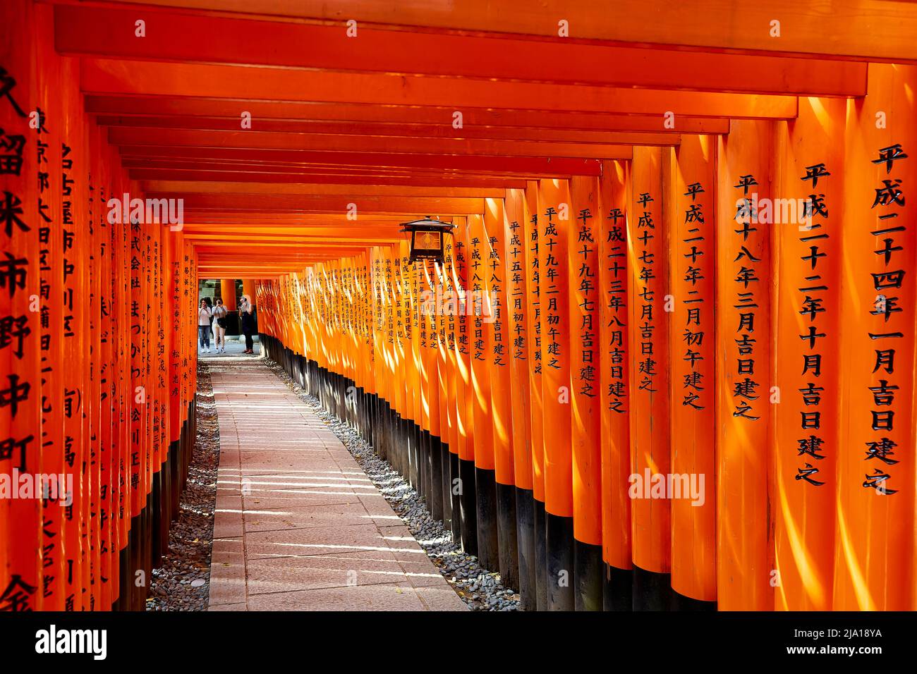 Giappone. Kyoto. Santuario di Fushimi Inari Taisha Foto Stock