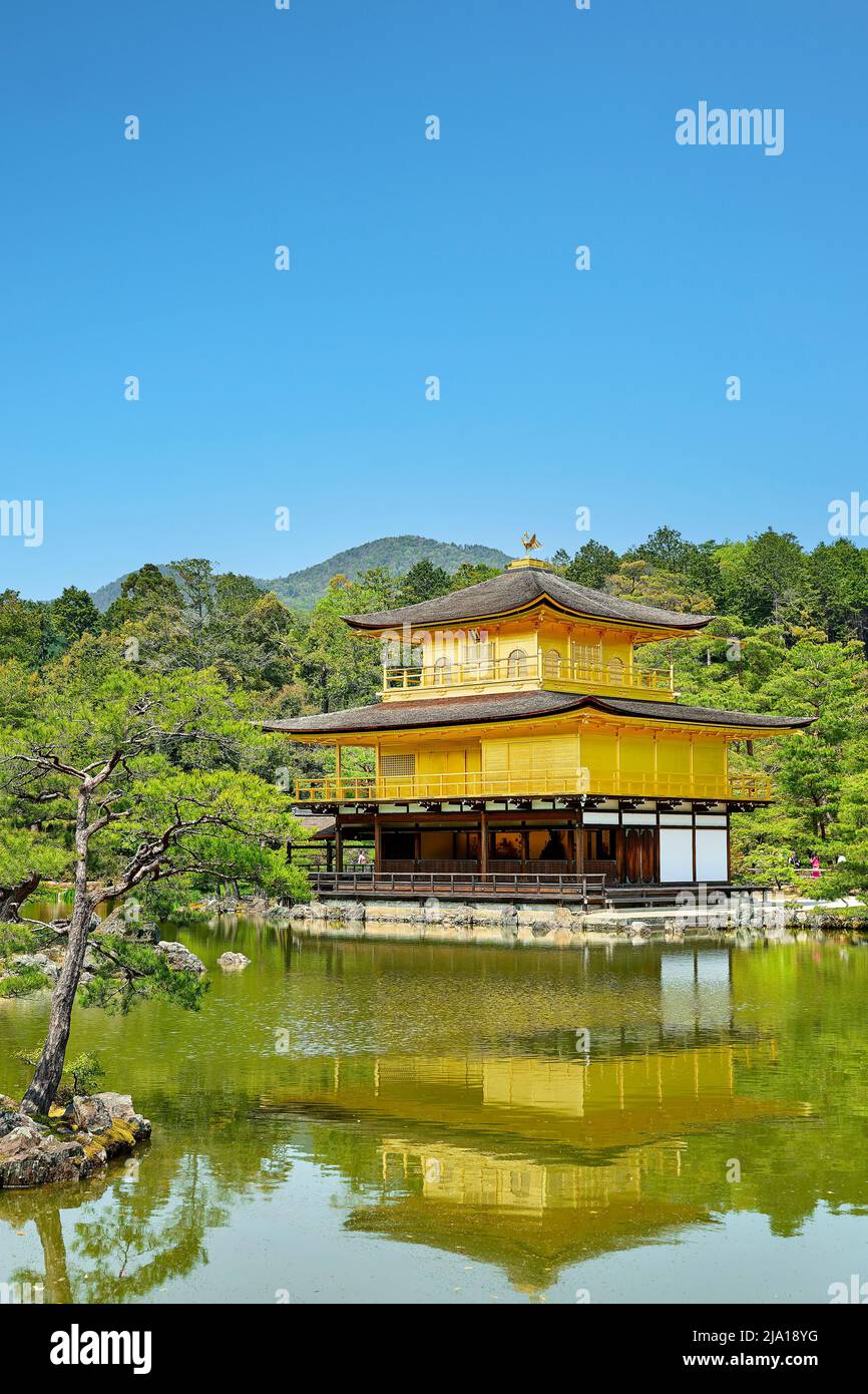 Giappone. Kyoto. Tempio di Kinkaku-ji (il Padiglione dorato) Foto Stock