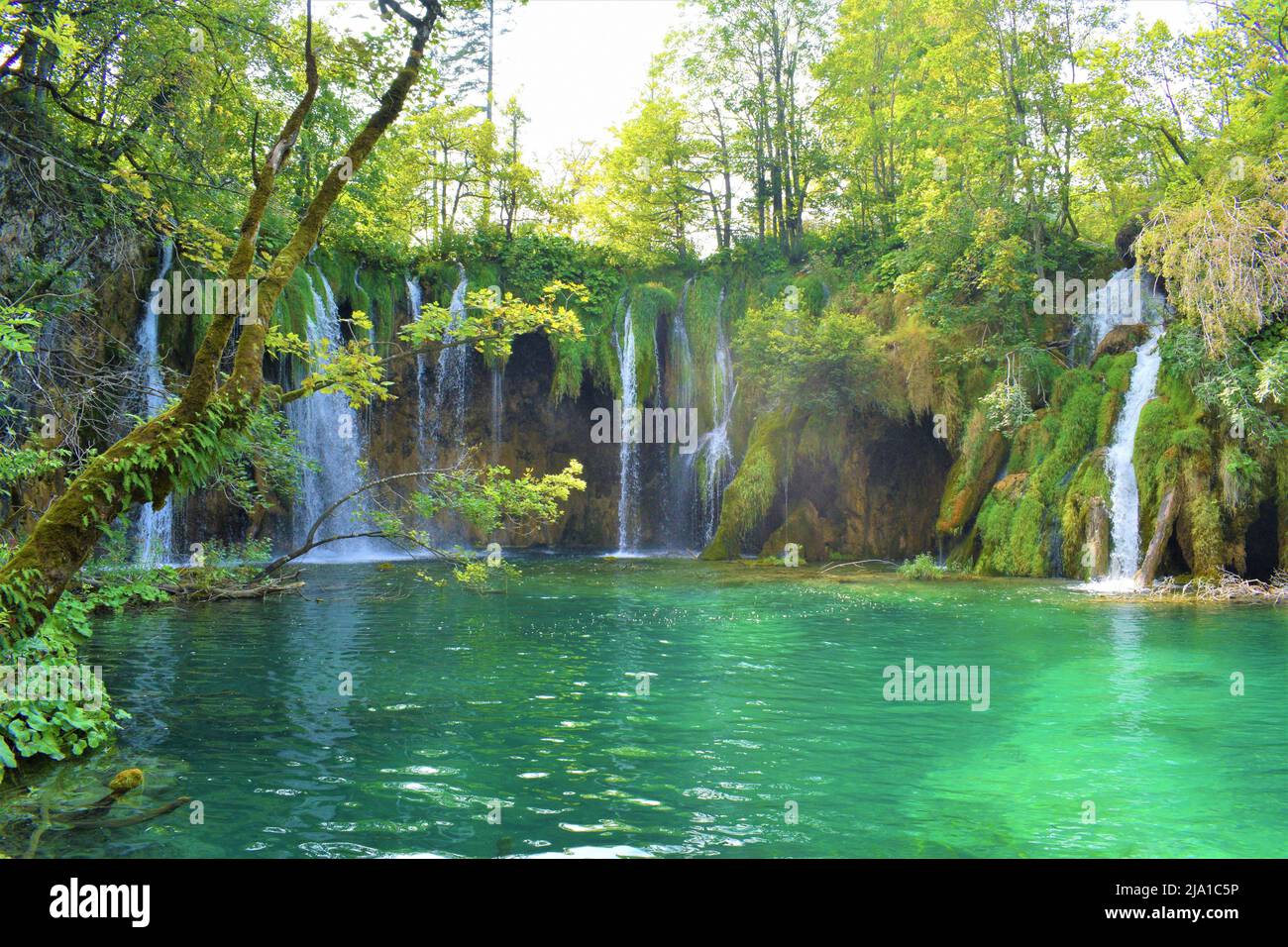 Il Parco Nazionale dei Laghi di Plitvice in Croazia Foto Stock