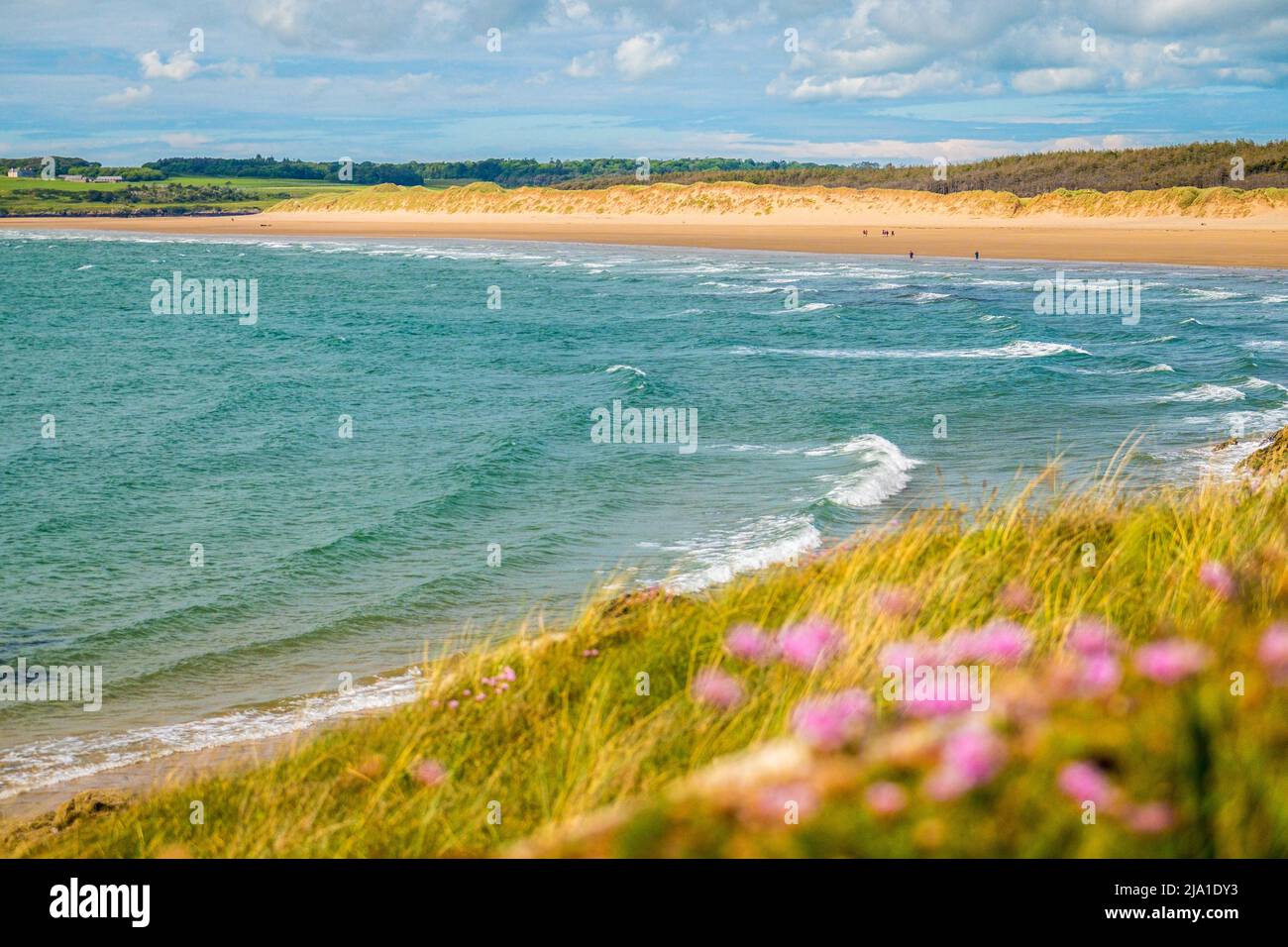 La spiaggia di Newborough / Malltraeth su Anglesey, Galles Foto Stock