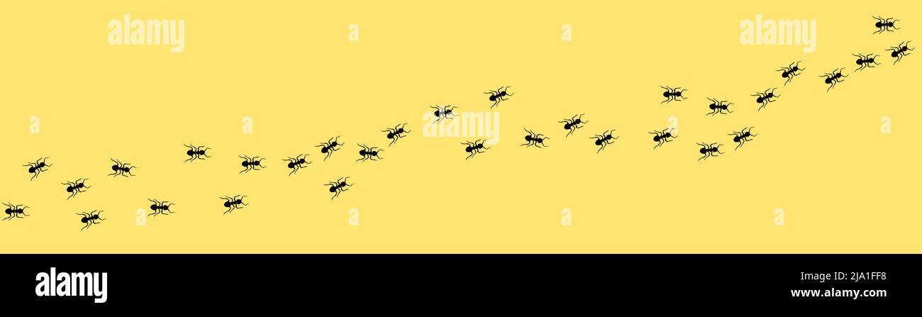 Formica traccia Una linea di formiche lavoratore marching in cerca di cibo Vector illustrazione banner orizzontale ANT colonna stradale Teamwork duro lavoro metafora. Nero poll Illustrazione Vettoriale