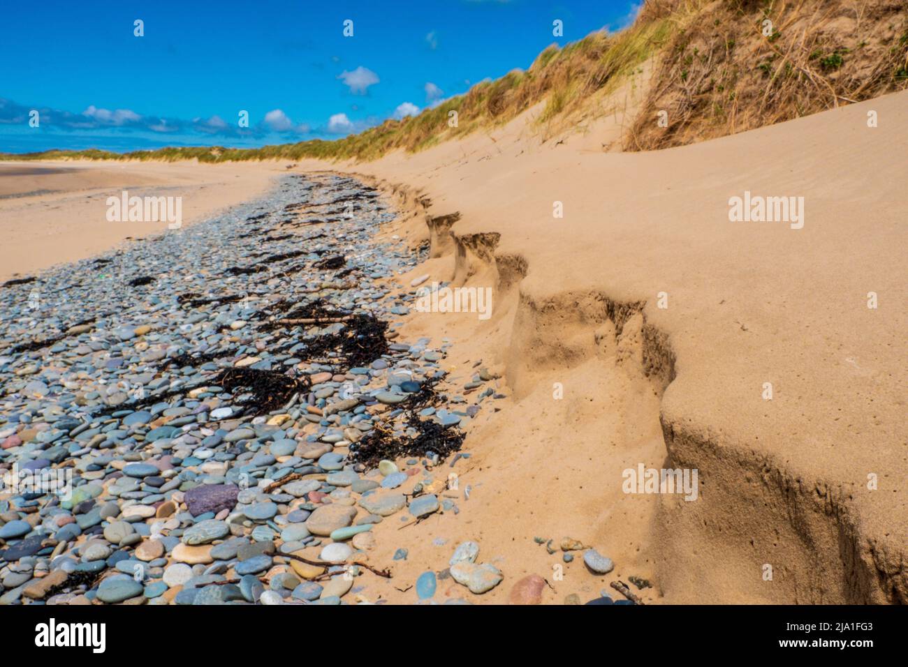 Dune di sabbia e marram erba a Newborough nel sud-ovest di Anglesey, una riserva naturale costiera di dune di sabbia e spiaggia Foto Stock